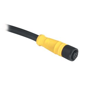 Micro DC cable